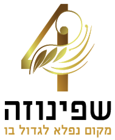 שפינוזה 4 פתח תקוה